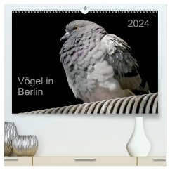 Vögel in Berlin (hochwertiger Premium Wandkalender 2024 DIN A2 quer), Kunstdruck in Hochglanz - Mahrhofer, Verena