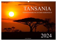 Tansania - Tierwanderung in der Serengeti (Wandkalender 2024 DIN A2 quer), CALVENDO Monatskalender - Köhler, Axel