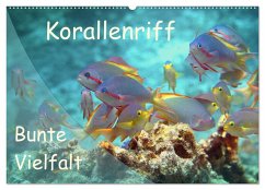 Bunte Vielfalt im Korallenriff (Wandkalender 2024 DIN A2 quer), CALVENDO Monatskalender