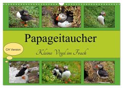 Papageitaucher Kleine Vögel im Frack CH Version (Wandkalender 2024 DIN A3 quer), CALVENDO Monatskalender - Paul - Babett's Bildergalerie, Babett