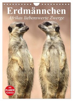 Erdmännchen - Afrikas liebenswerte Zwerge (Wandkalender 2024 DIN A4 hoch), CALVENDO Monatskalender