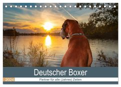 Deutscher Boxer (Tischkalender 2024 DIN A5 quer), CALVENDO Monatskalender - Mielke, Kerstin
