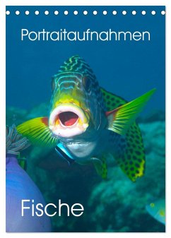 Portraitaufnahmen - Fische (Tischkalender 2024 DIN A5 hoch), CALVENDO Monatskalender