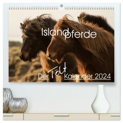 Islandpferde - Der Tölt Kalender (hochwertiger Premium Wandkalender 2024 DIN A2 quer), Kunstdruck in Hochglanz - van der Wiel - www.kalender-atelier.de, Irma