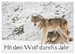 Mit dem Wolf durch's Jahr (Tischkalender 2024 DIN A5 quer), CALVENDO Monatskalender