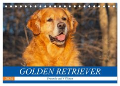 Golden Retriever - Freunde auf 4 Pfoten (Tischkalender 2024 DIN A5 quer), CALVENDO Monatskalender