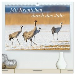 Mit Kranichen durch das Jahr (hochwertiger Premium Wandkalender 2024 DIN A2 quer), Kunstdruck in Hochglanz - Smith, Sidney
