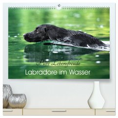 Labradore im Wasser (hochwertiger Premium Wandkalender 2024 DIN A2 quer), Kunstdruck in Hochglanz