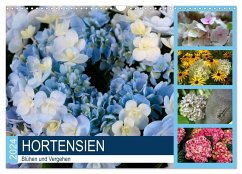 Hortensien Blühen und Vergehen (Wandkalender 2024 DIN A3 quer), CALVENDO Monatskalender