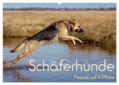 Schäferhunde - Freunde auf 4 Pfoten (Wandkalender 2024 DIN A2 quer), CALVENDO Monatskalender