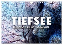 Tiefsee - Ein Abenteuer ins Unbekannte. (Wandkalender 2024 DIN A4 quer), CALVENDO Monatskalender