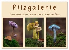 Pilzgalerie - Eindrucksvolle Aufnahmen von unseren heimischen Pilzen (Wandkalender 2024 DIN A2 quer), CALVENDO Monatskalender