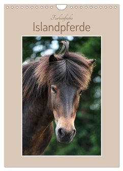 Farbenfrohe Islandpferde (Wandkalender 2024 DIN A4 hoch), CALVENDO Monatskalender - Kohrt, Stephanie