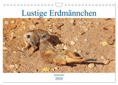 Lustige Erdmännchen (Wandkalender 2024 DIN A4 quer), CALVENDO Monatskalender