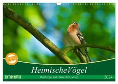 Heimische Vögel (Wandkalender 2024 DIN A3 quer), CALVENDO Monatskalender