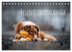 Fellnasenromantik (Tischkalender 2024 DIN A5 quer), CALVENDO Monatskalender