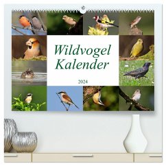 Wildvogelkalender (hochwertiger Premium Wandkalender 2024 DIN A2 quer), Kunstdruck in Hochglanz - Bucher, Leo