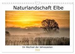 Naturlandschaft Elbe - Im Wechsel der Jahreszeiten (Wandkalender 2024 DIN A4 quer), CALVENDO Monatskalender - AkremaFotoArt