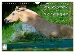 Fjordpferde - Norweger (Wandkalender 2024 DIN A4 quer), CALVENDO Monatskalender