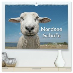 Nordsee Schafe (hochwertiger Premium Wandkalender 2024 DIN A2 quer), Kunstdruck in Hochglanz