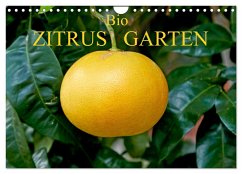 Bio Zitrus Garten (Wandkalender 2024 DIN A4 quer), CALVENDO Monatskalender