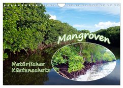 Mangroven - Natürlicher Küstenschutz (Wandkalender 2024 DIN A4 quer), CALVENDO Monatskalender