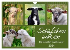 Schäfchen zählen - Mit Schafen durchs Jahr (Wandkalender 2024 DIN A4 quer), CALVENDO Monatskalender