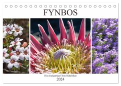 Fynbos - Die einzigartige Flora Südafrikas (Tischkalender 2024 DIN A5 quer), CALVENDO Monatskalender
