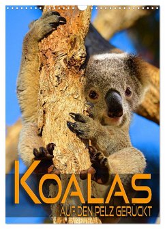 Koalas auf den Pelz gerückt (Wandkalender 2024 DIN A3 hoch), CALVENDO Monatskalender