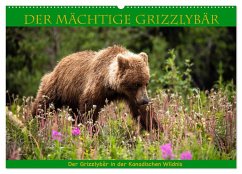 Der mächtige Gizzlybär (Wandkalender 2024 DIN A2 quer), CALVENDO Monatskalender