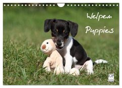 Welpen - Puppies (Wandkalender 2024 DIN A4 quer), CALVENDO Monatskalender - Hutfluss, Jeanette