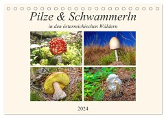 Pilze & Schwammerln (Tischkalender 2024 DIN A5 quer), CALVENDO Monatskalender - Kramer, Christa