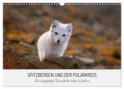 Spitzbergen und der Polarkreis (Wandkalender 2024 DIN A3 quer), CALVENDO Monatskalender - Lerch, David