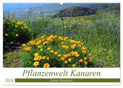 Pflanzenwelt Kanaren (Wandkalender 2024 DIN A2 quer), CALVENDO Monatskalender