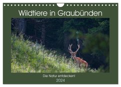 Wildtiere in Graubünden - Die Natur entdecken! (Wandkalender 2024 DIN A4 quer), CALVENDO Monatskalender