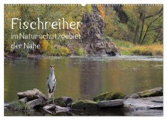 Der Fischreiher im Naturschutzgebiet der Nahe (Wandkalender 2024 DIN A2 quer), CALVENDO Monatskalender