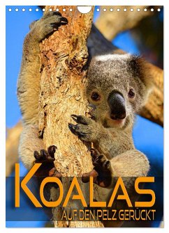 Koalas auf den Pelz gerückt (Wandkalender 2024 DIN A4 hoch), CALVENDO Monatskalender