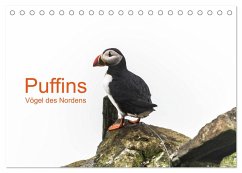 Puffins - Vögel des Nordens (Tischkalender 2024 DIN A5 quer), CALVENDO Monatskalender