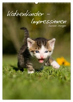 Katzenkinder - Impressionen (Wandkalender 2024 DIN A2 hoch), CALVENDO Monatskalender - Danegger, Susanne