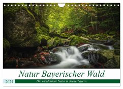 Natur Bayerischer Wald (Wandkalender 2024 DIN A4 quer), CALVENDO Monatskalender - Thilo Wagner, Fotografie