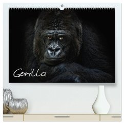 Gorilla (hochwertiger Premium Wandkalender 2024 DIN A2 quer), Kunstdruck in Hochglanz