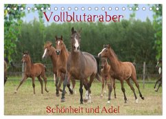 Vollblutaraber - Schönheit und Adel (Tischkalender 2024 DIN A5 quer), CALVENDO Monatskalender - Münzel-Hashish - www.tierphotografie.com, Angela
