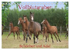 Vollblutaraber - Schönheit und Adel (Tischkalender 2024 DIN A5 quer), CALVENDO Monatskalender