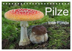 Pilze - tolle Funde (Tischkalender 2024 DIN A5 quer), CALVENDO Monatskalender