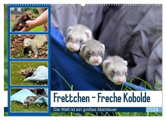 Frettchen - Freche Kobolde (Wandkalender 2024 DIN A2 quer), CALVENDO Monatskalender