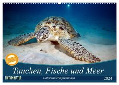 Tauchen, Fische und Meer (Wandkalender 2024 DIN A2 quer), CALVENDO Monatskalender