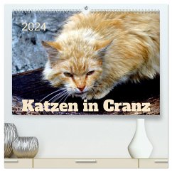 Katzen in Cranz (hochwertiger Premium Wandkalender 2024 DIN A2 quer), Kunstdruck in Hochglanz - Löwis of Menar, Henning von