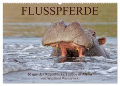 Flusspferde Magie des Augenblicks - Hippos in Afrika (Wandkalender 2024 DIN A2 quer), CALVENDO Monatskalender