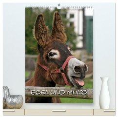 Esel und Mulis (hochwertiger Premium Wandkalender 2024 DIN A2 hoch), Kunstdruck in Hochglanz