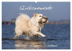 Glücksmomente - Unterwegs mit meinem Islandhund (Wandkalender 2024 DIN A2 quer), CALVENDO Monatskalender